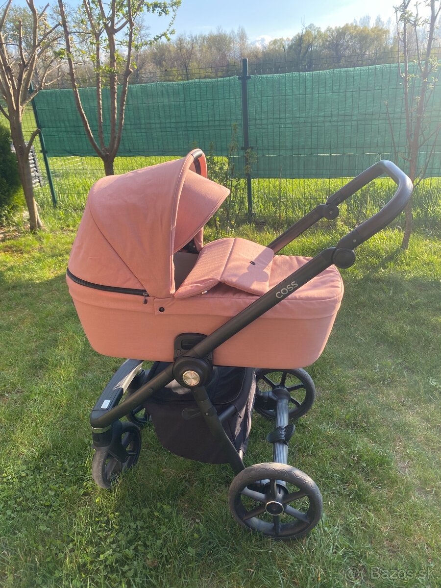 Kočík roan coss - 2