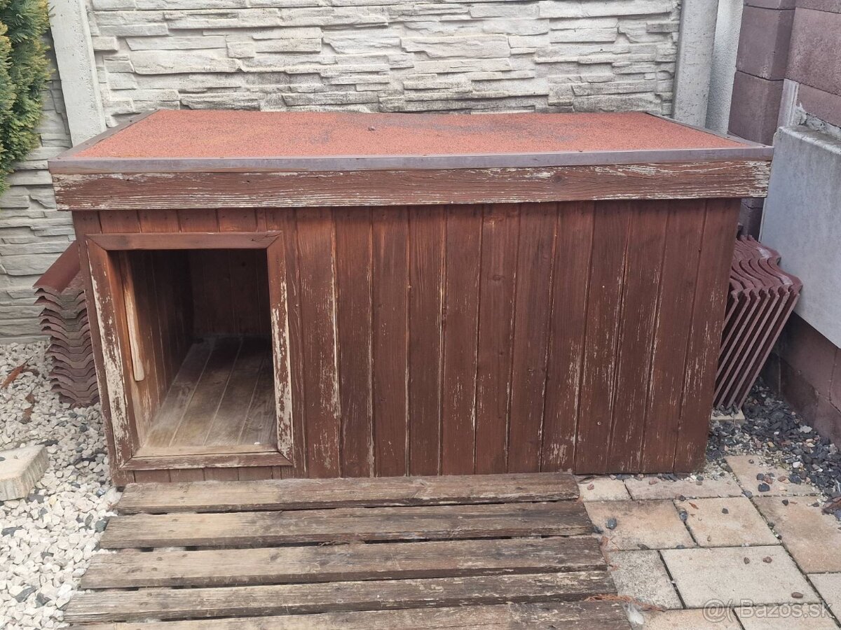 Buda pre vacsieho psa - 2