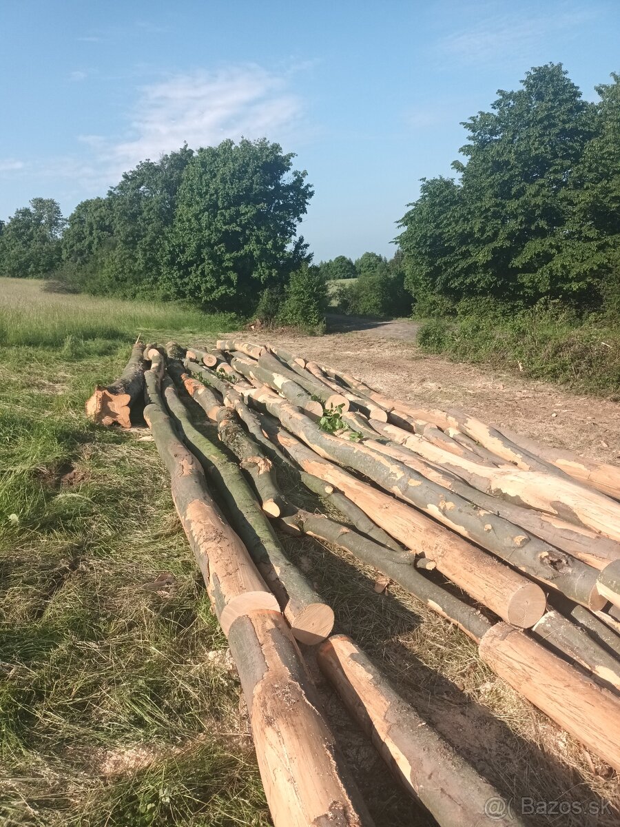 Predám rôzne dub,buk,hrab tvrde palivove drevo , na fotke bu - 2