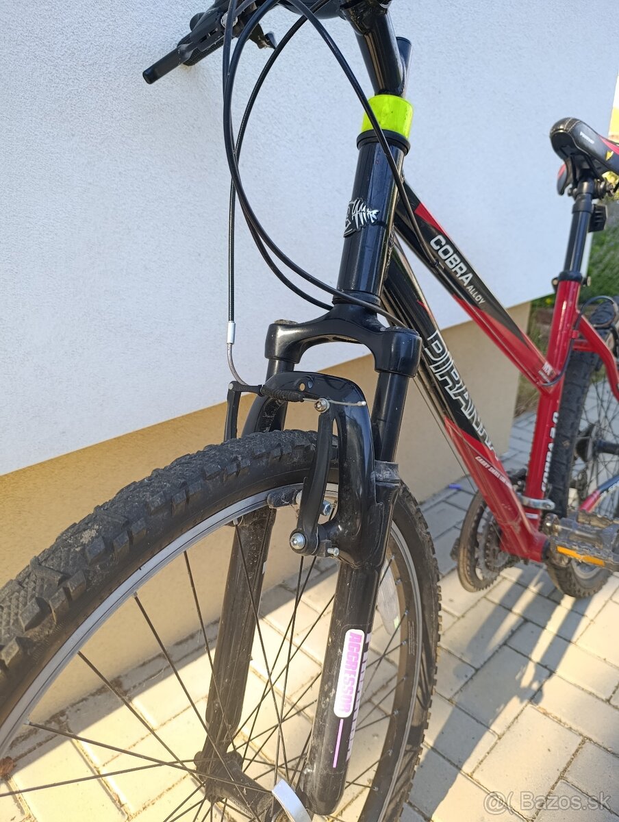 Dámsky bicykel Piranha - 2