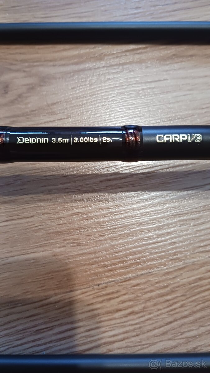 Delphin impala carp V3 - 2