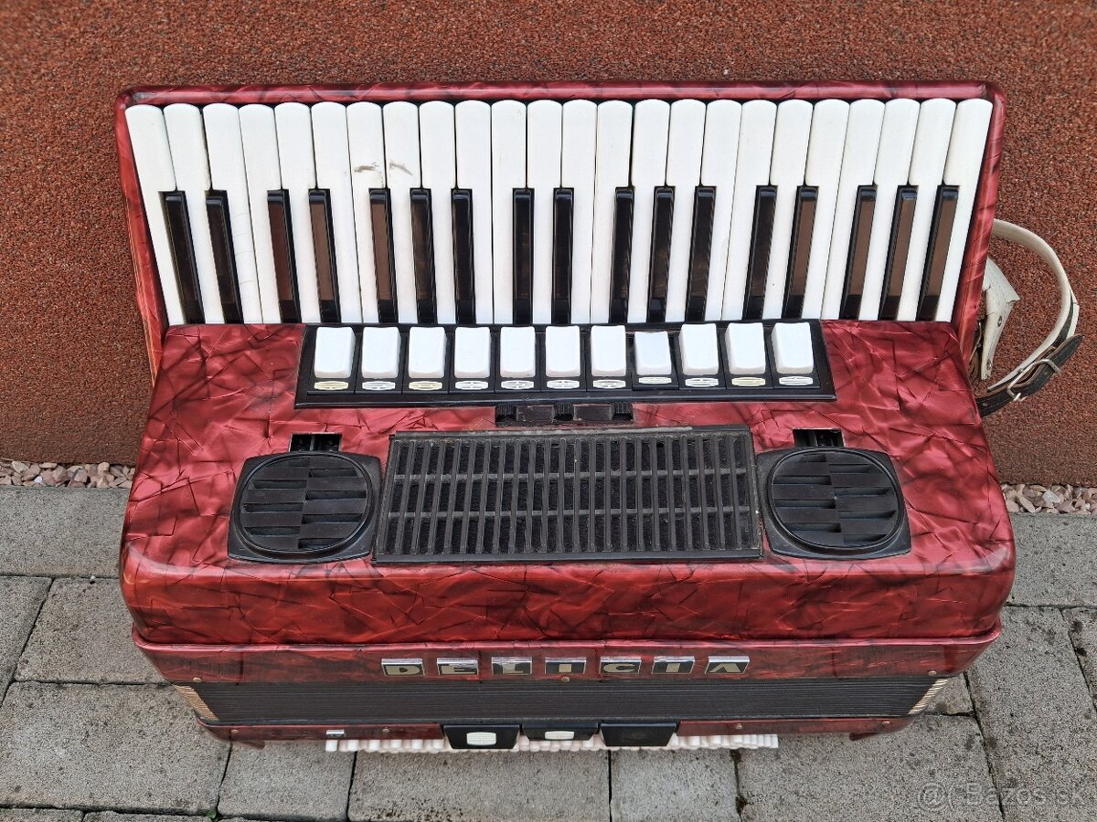 Akordeón harmonika 120 basov - 2