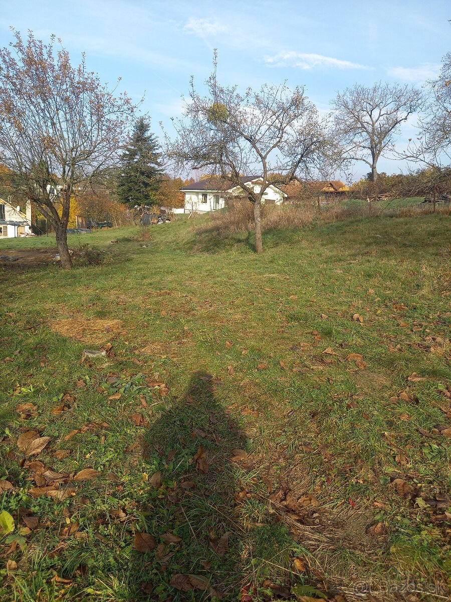 Záhrada - 2