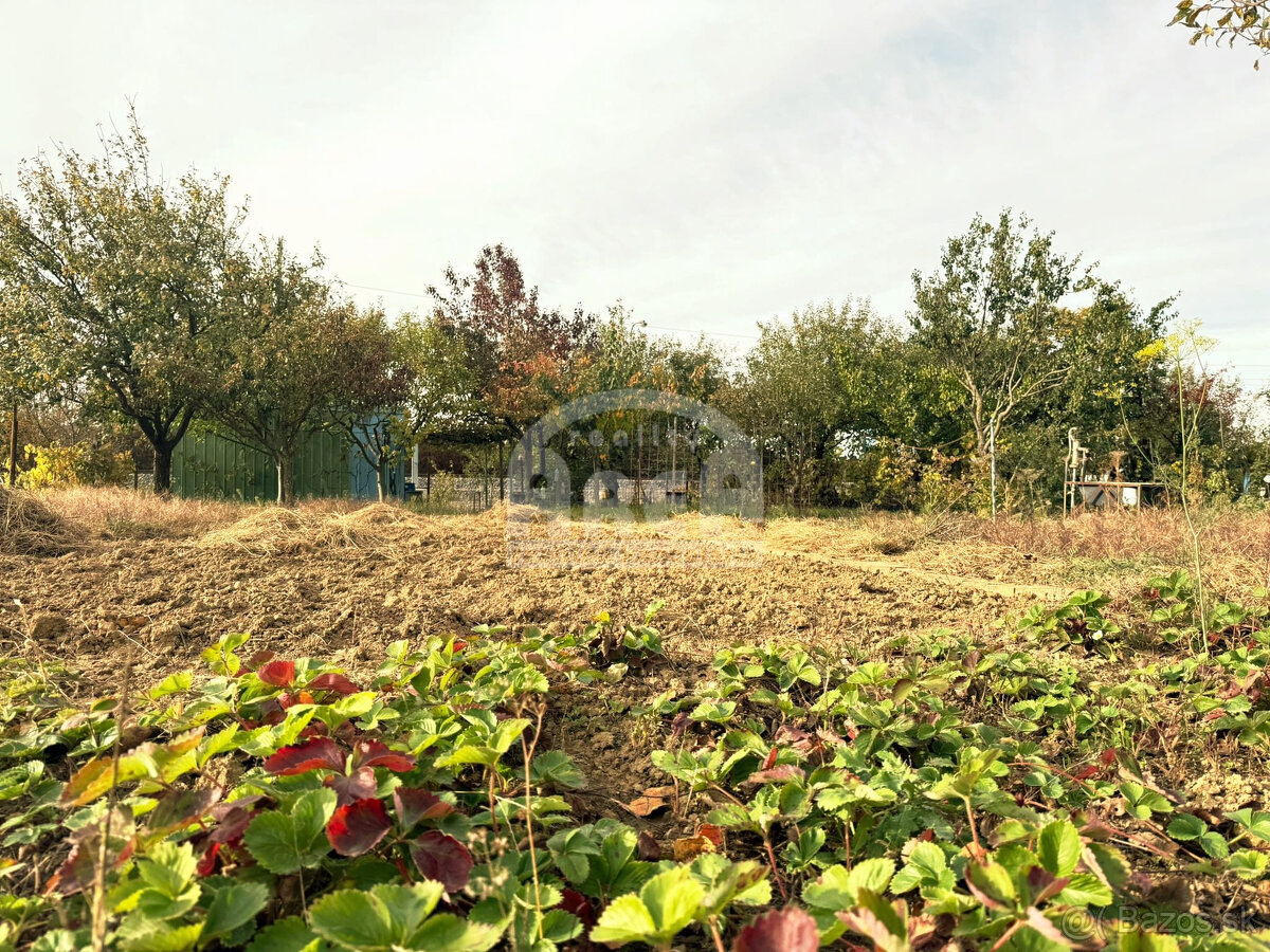 Krásna záhradka na Továrenskej ulici v Michalovciach - 2