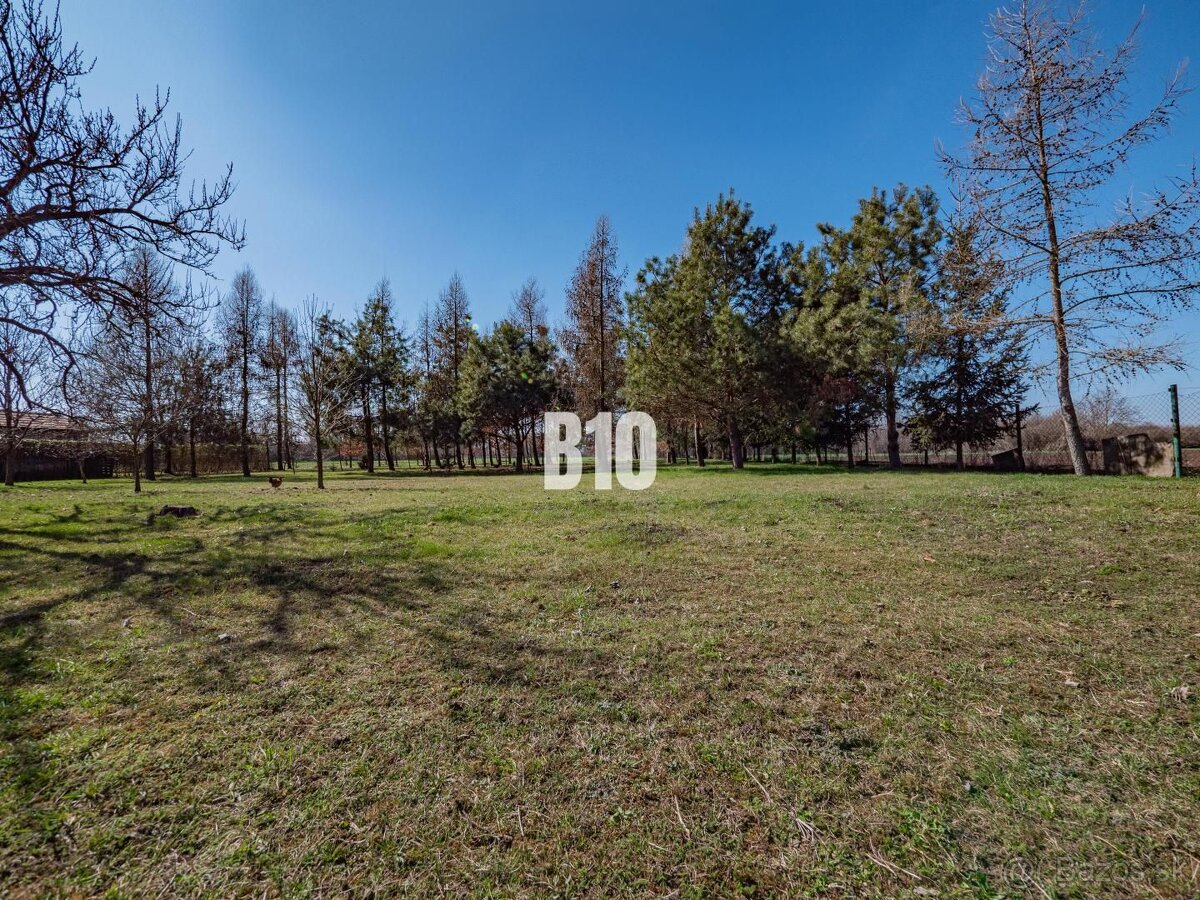 Rozľahlý pozemok s domom a lesíkom – ideálne pre hospodáreni - 2