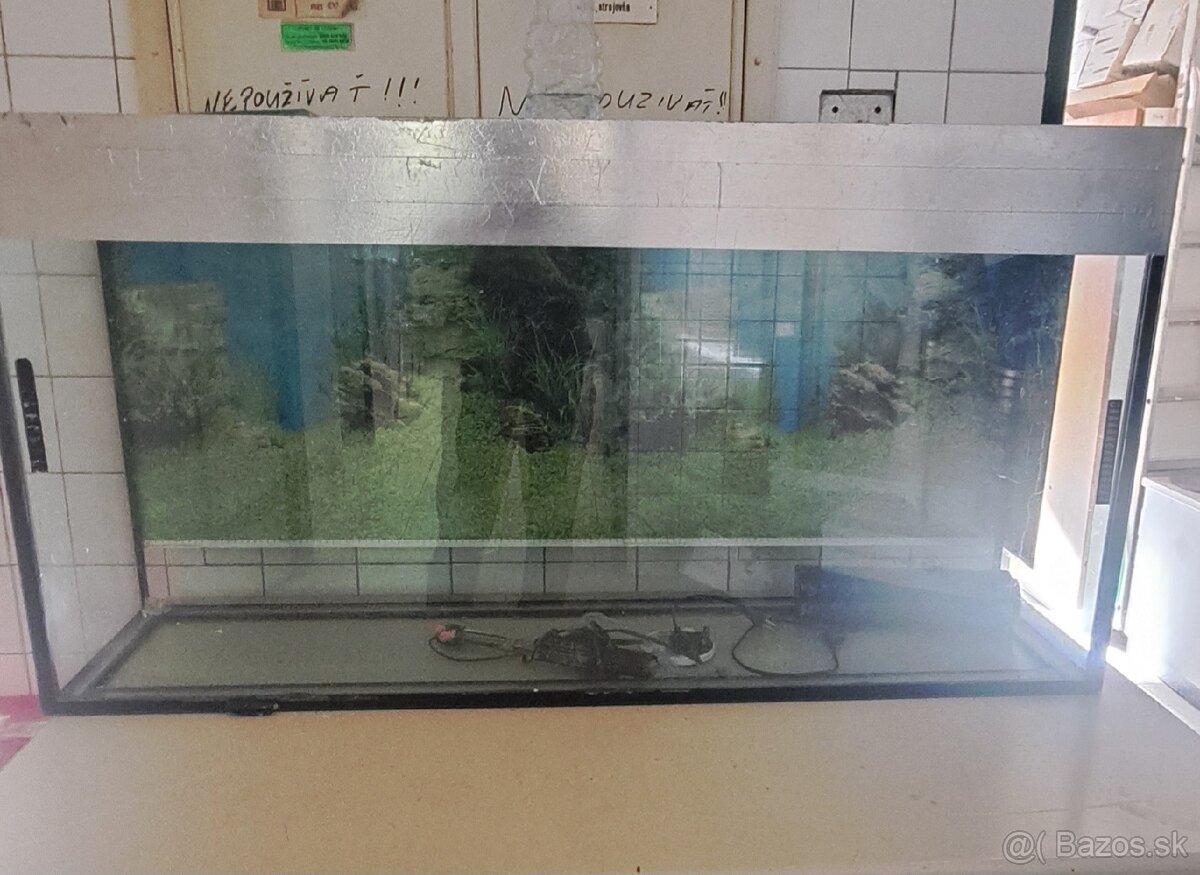 Aqvarium - 2