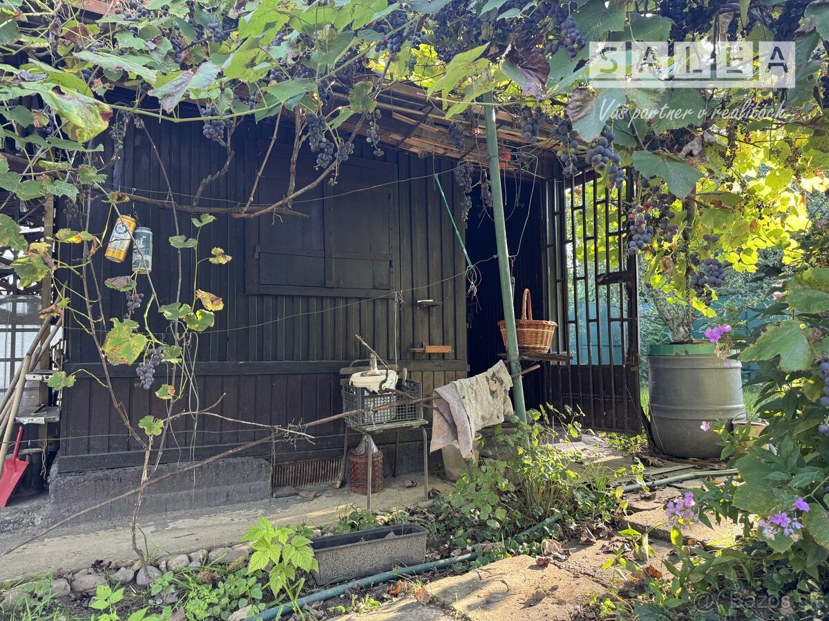 Záhrada 293 m2 v Šali pri tenisových kurtoch - 2