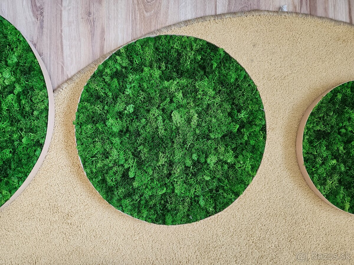 Predám machové obrazy Ø 30cm + Ø 40cm + Ø 50cm - 2