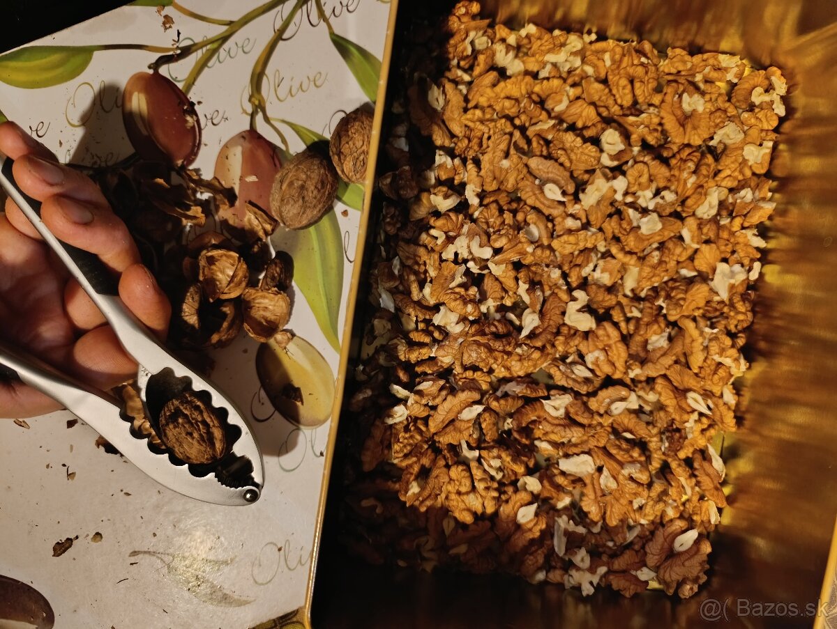 Predám vylúskané vlašské orechy - 2