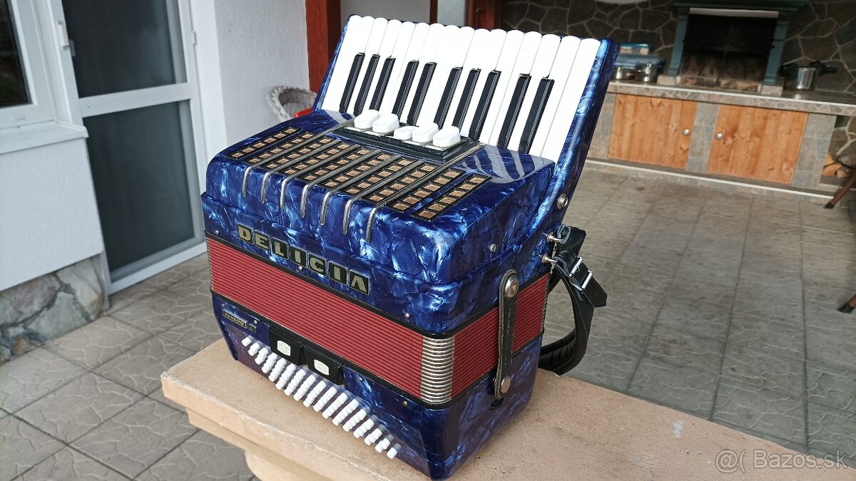 Harmonika -Akordeon.Delícia Junior 72basová. - 2