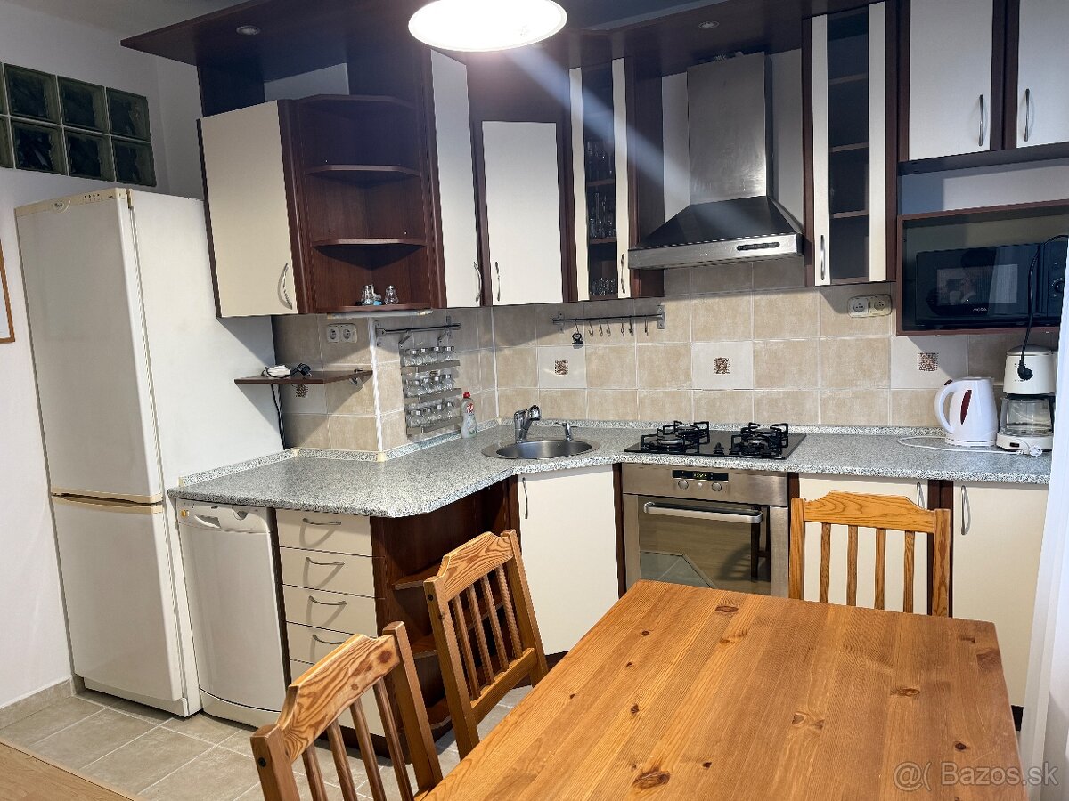 Na prenájom 1 izbový byt pri auparku - Voľný ihned - 2