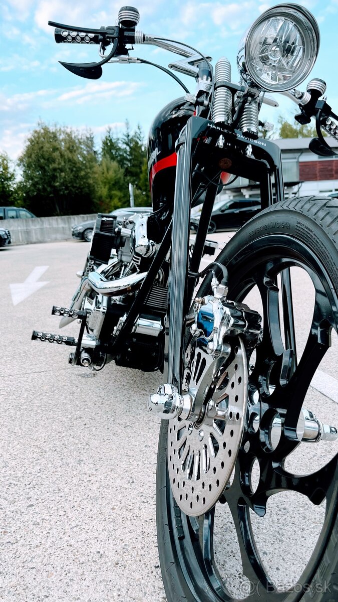 Harley Davidson Custom 300 - 2