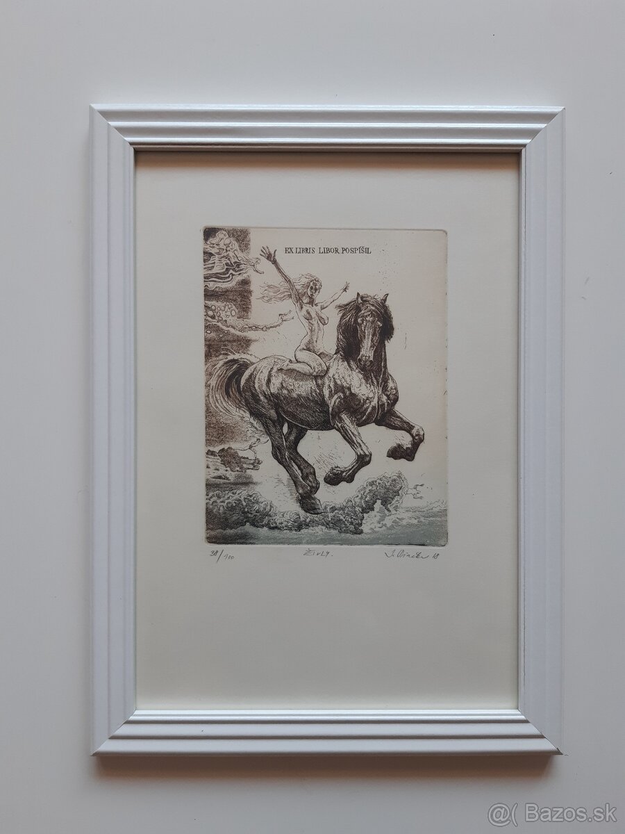 Igor Piačka – Živly - 2