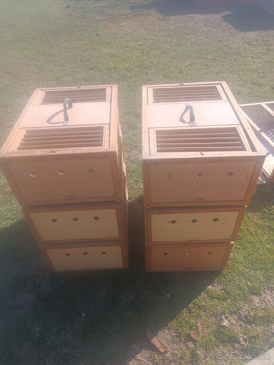 Predám pre poštové holuby - 2