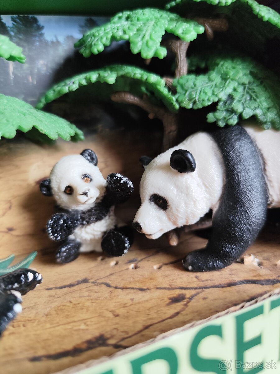 Pandy - 2