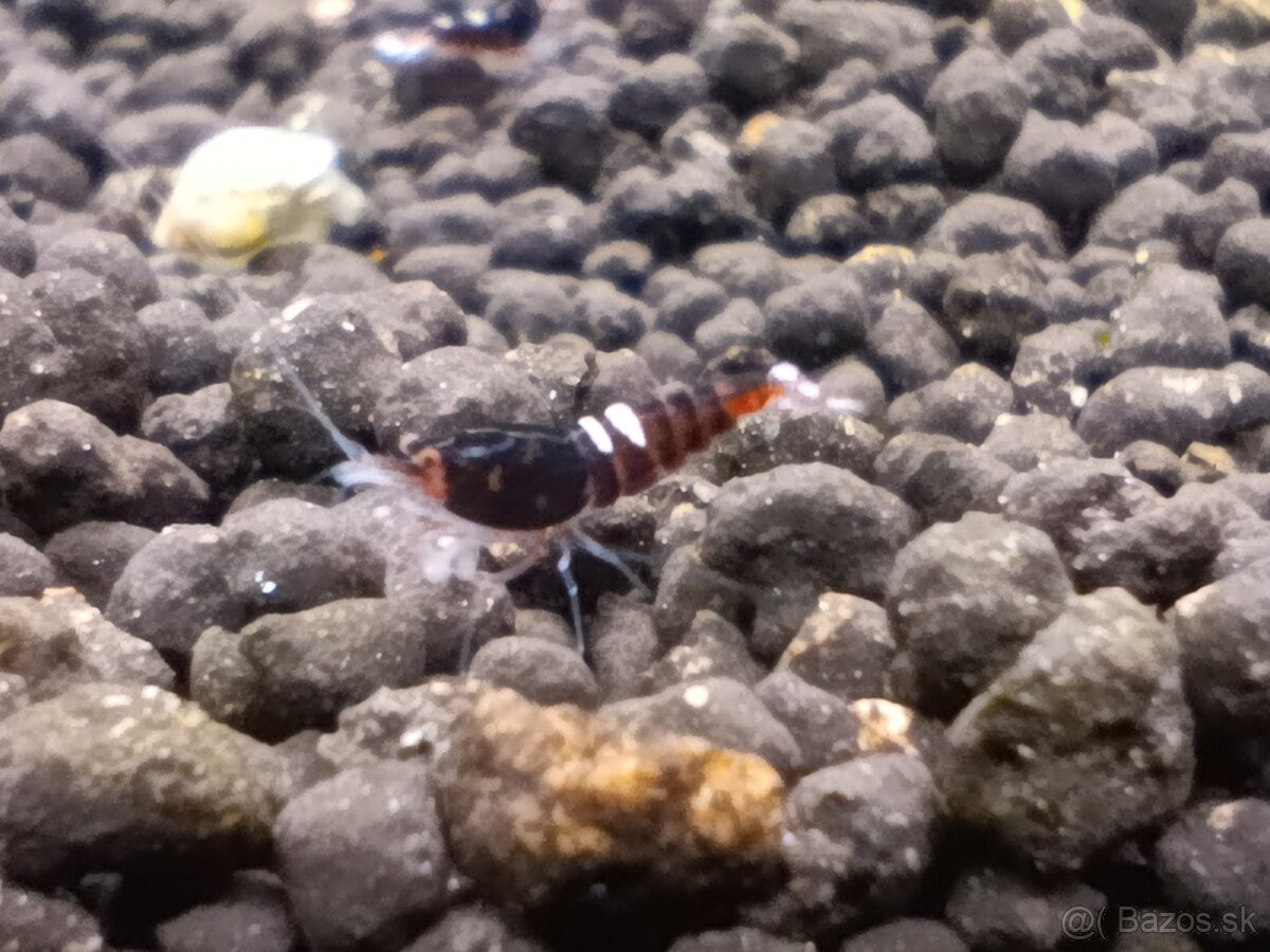 Dark red Ruby extrém mix - 2