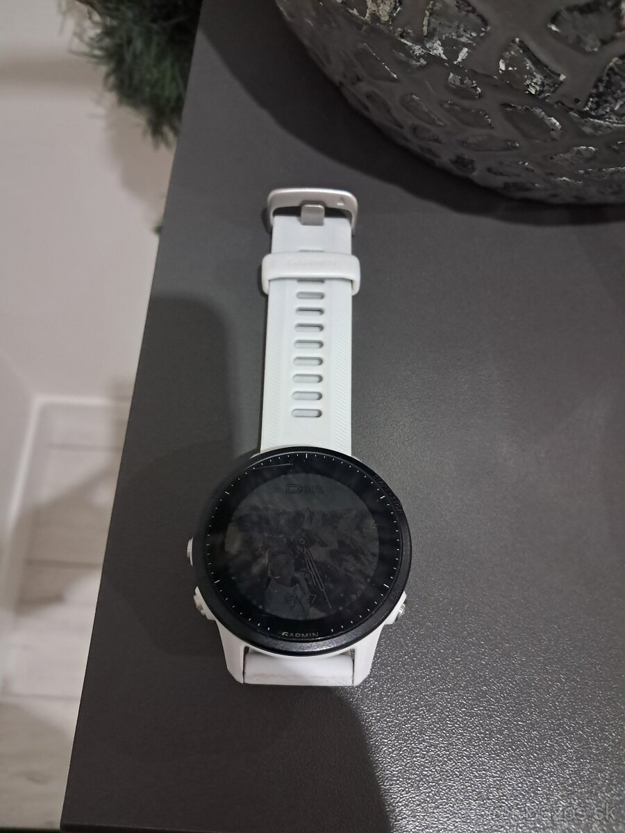 garmin Forerunner 955 - 2