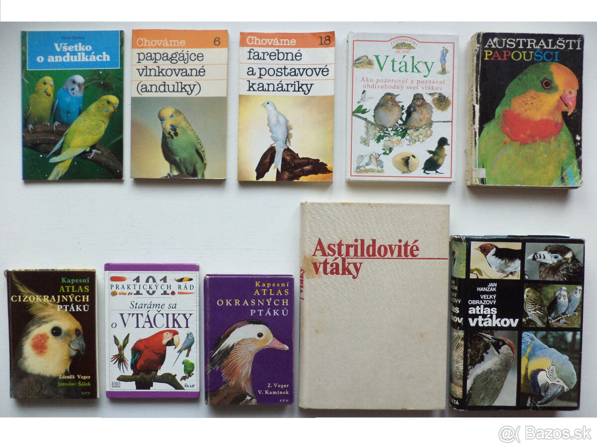 zvieratá, príroda, chov 1 - 2