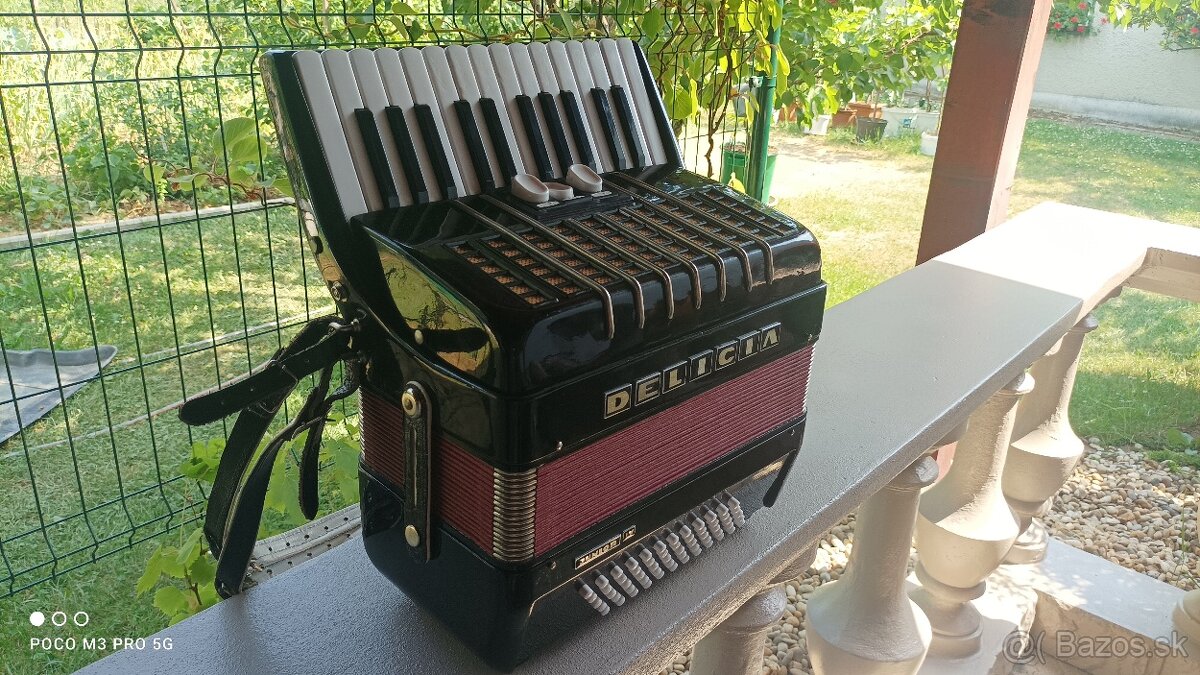 Harmonika -Akordeon.Delícia Junior 60 basová. - 2