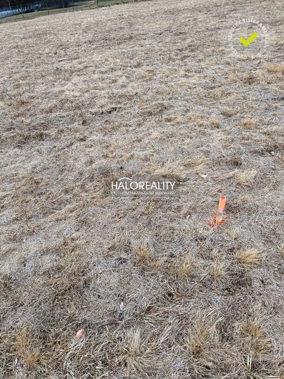 HALO reality - Predaj, rekreačný pozemok Nálepkovo, Zahájnic - 2