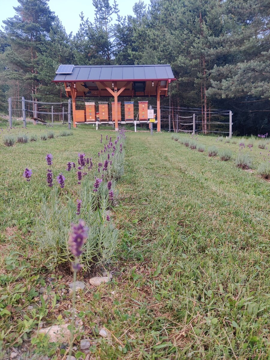 Domáci včelí med z Turčianskej záhradky - 2