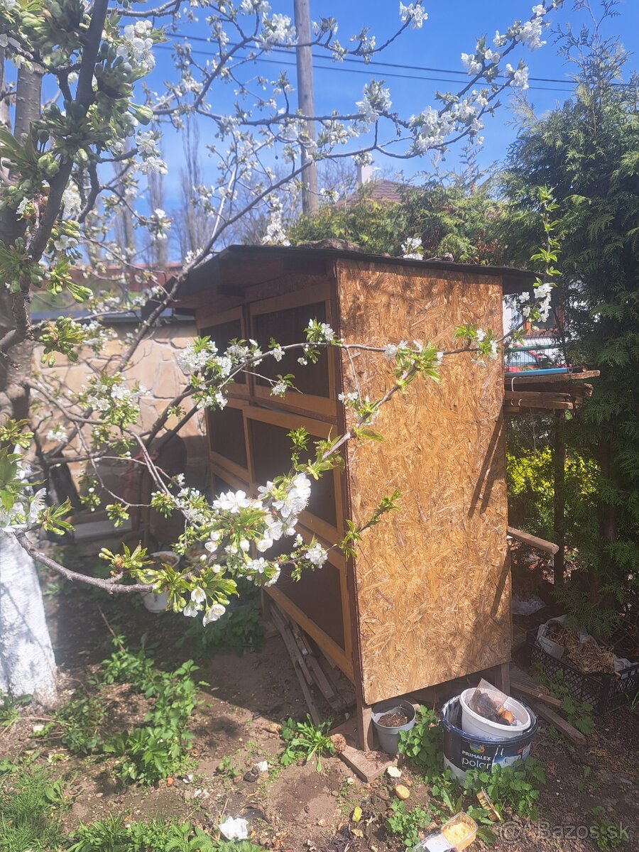 Zajačník - 2