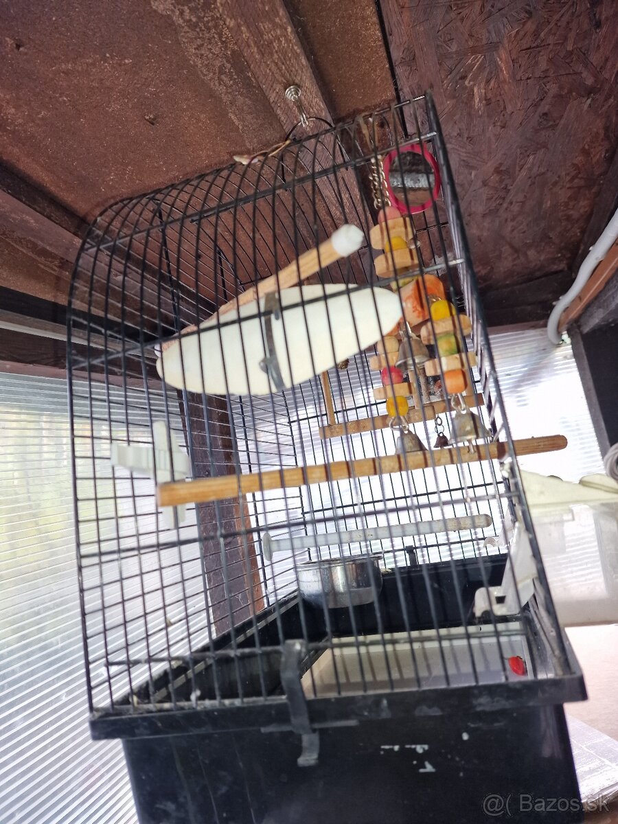 Predám klietku pre andulky - 2