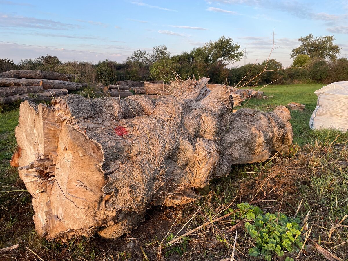Kúpim Guľatinu kmene stromy drevo - 2