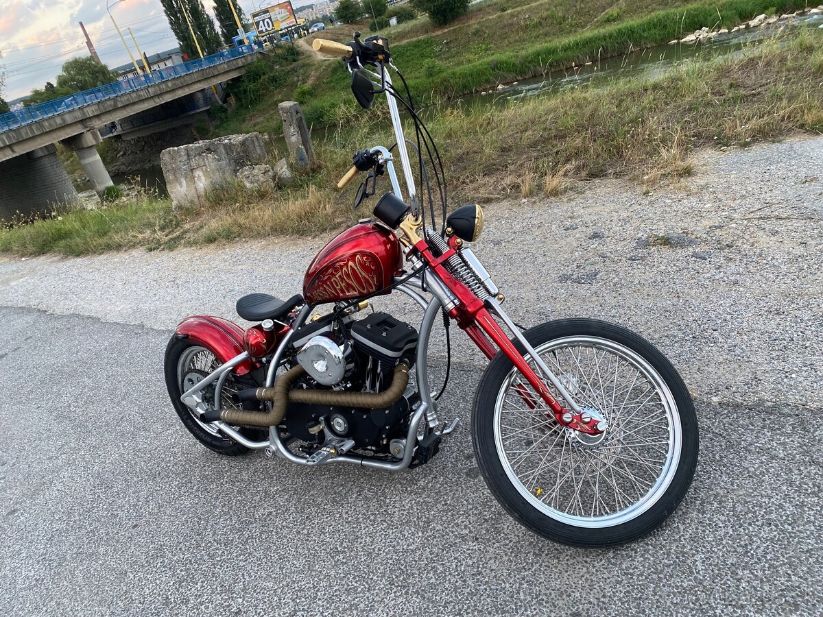 Custom Harley Davidson - 2