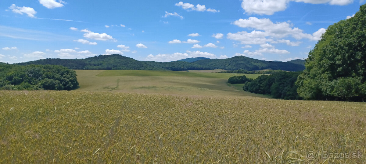 Na predaj orná pôda v obci Podkylava, časť Jancovo.(Myjava) - 2