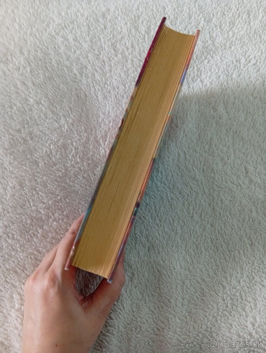 Harry Potter a Tajomná komnata 2 - 2