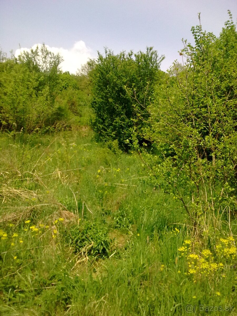 Rekreačný pozemok, Krupina - 2