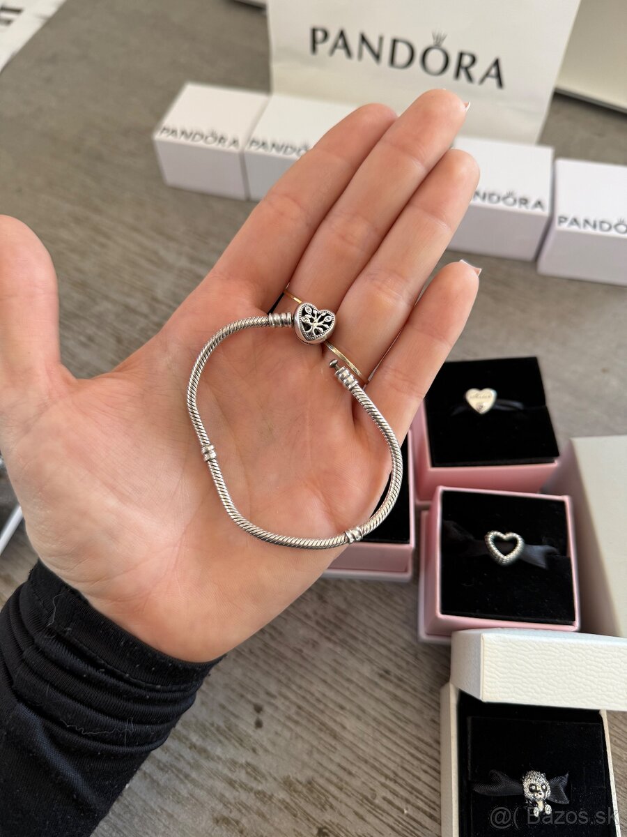 Pandora náramok + korálky - 2