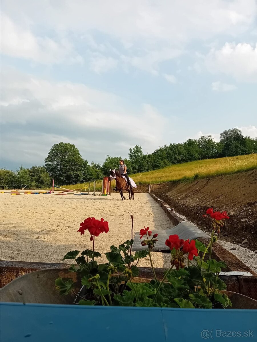 Ustajnenie 🌿 Doprajte svojmu koňovi domov v srdci prírody - 2