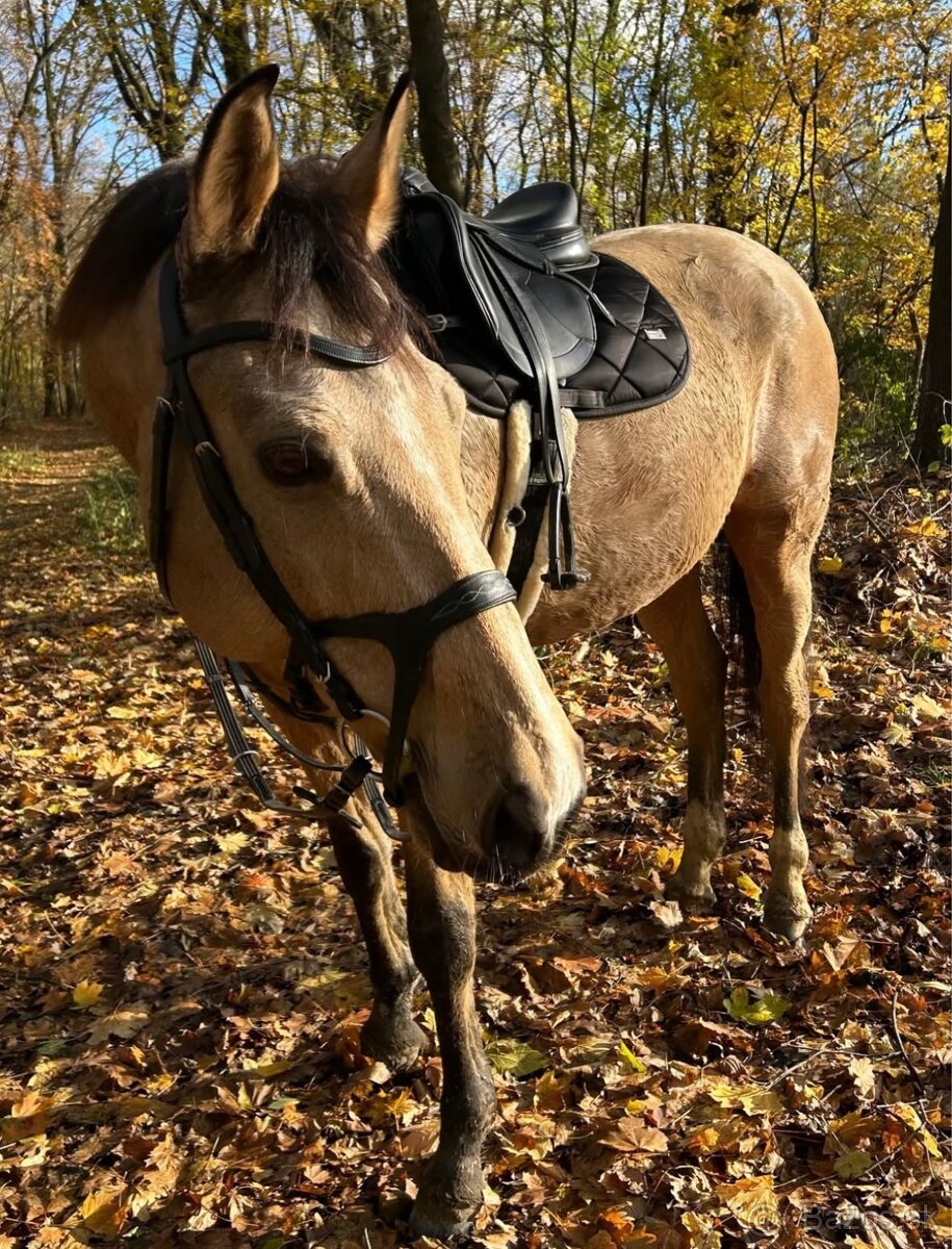 Uzdecka, poprsak - 2