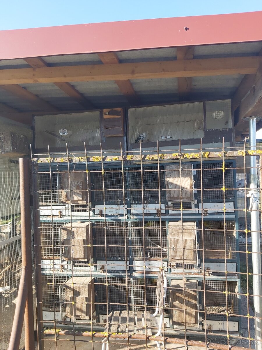 Predám klietky boxy - 2