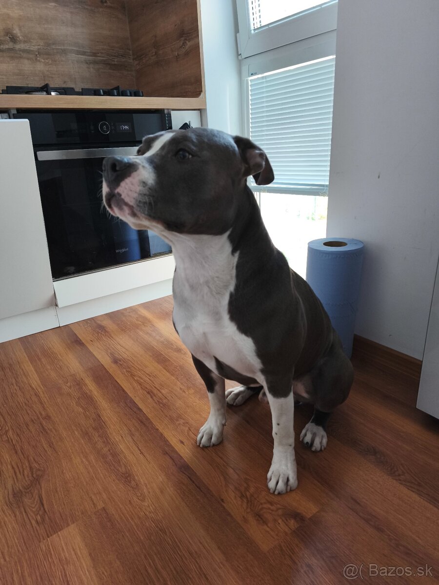 ARTHAS HLADA NOVY DOMOV - 2