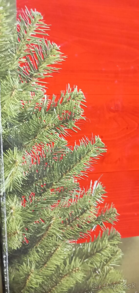 Predám vianočný stromček - 2