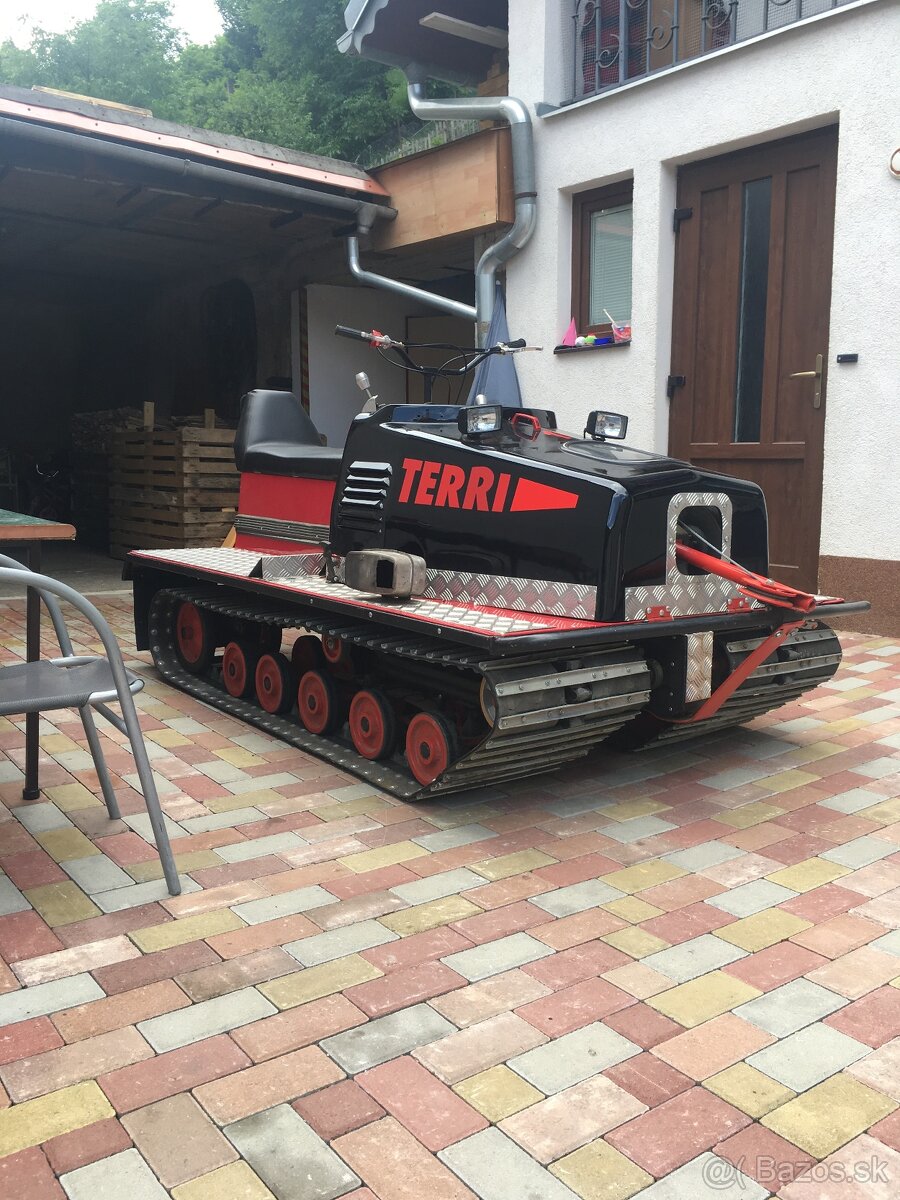 Terri 30 - 2