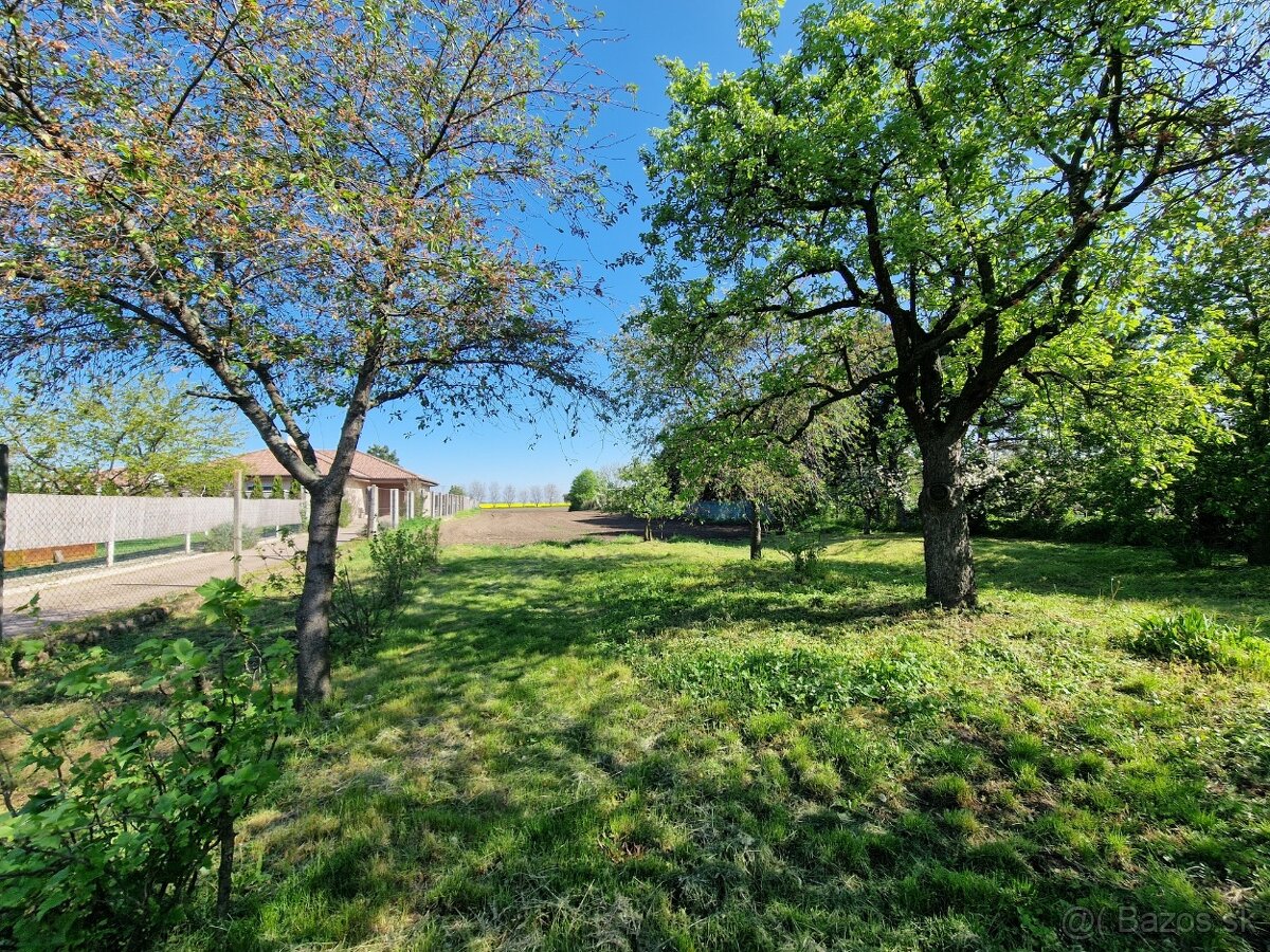 Pozemok o výmere 4543 m2 so starším RD na predaj - 2