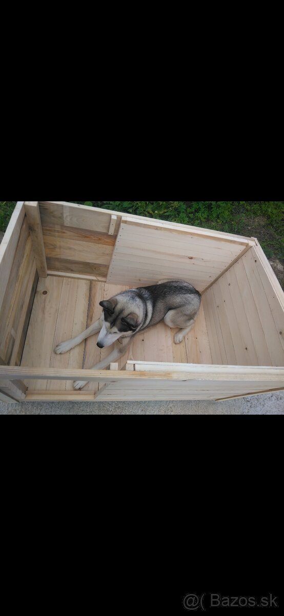 Eco buda pre psa. - 2