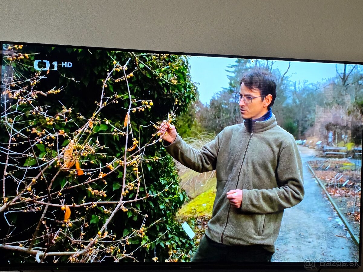 Panasonic TX-55GZ950E - uhlopriečka 55" - 2