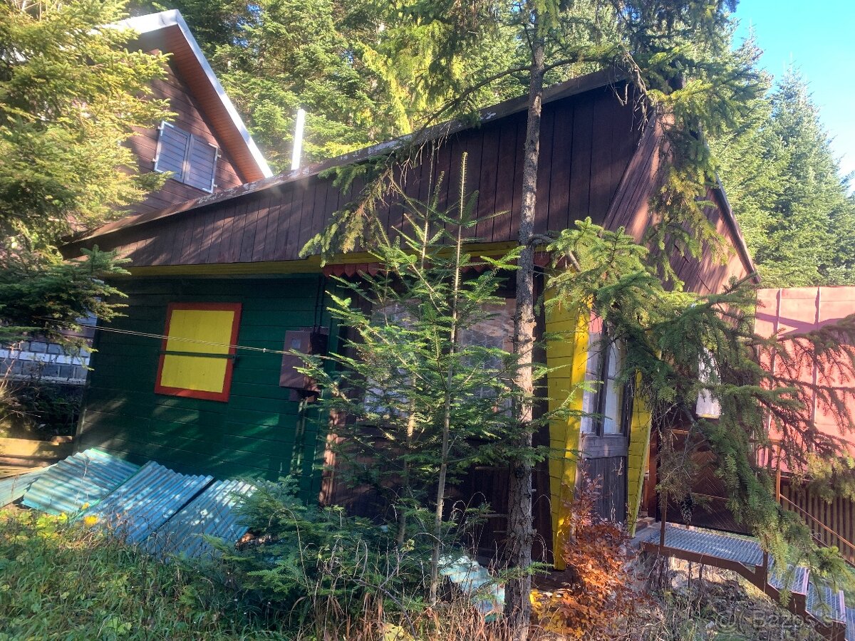 Chalupa vo Vyšných Ružbachoch - 2