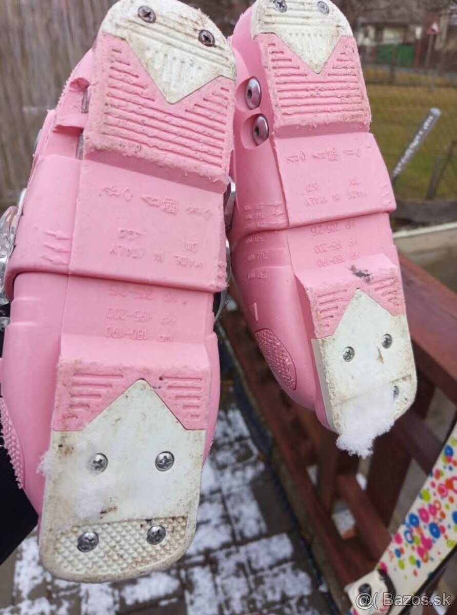 Lyze 110 tecnopro - 2