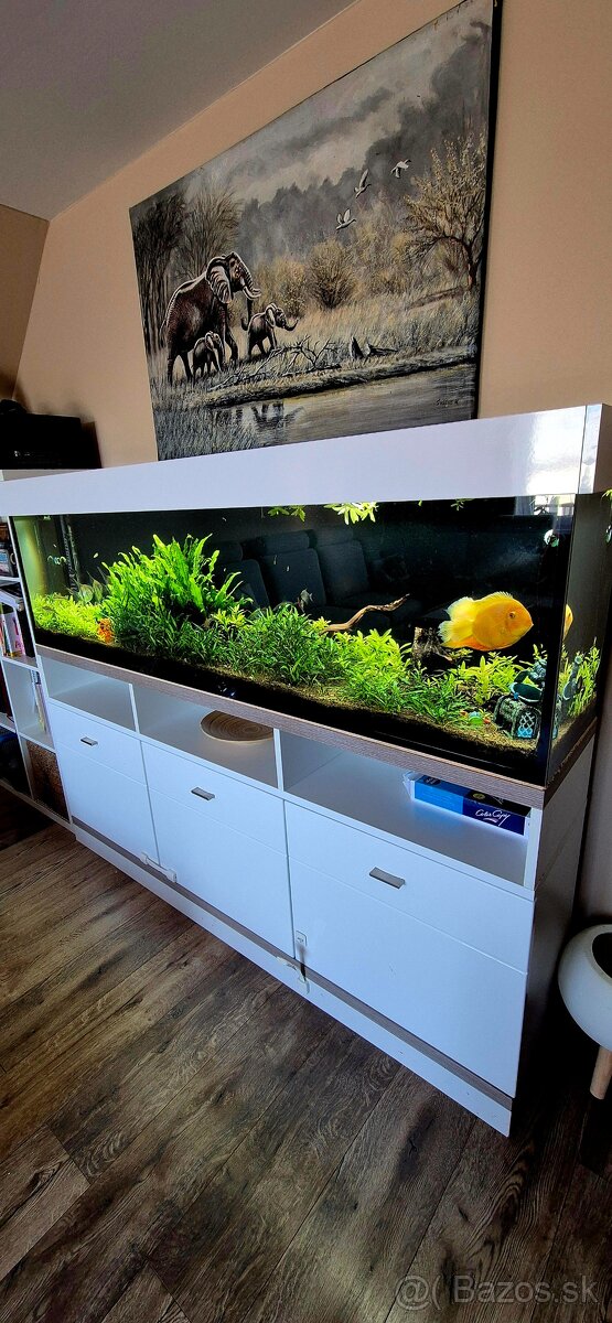 Predám 400l akvárium 180cm komplet + Eheim filter + CO2 - 2