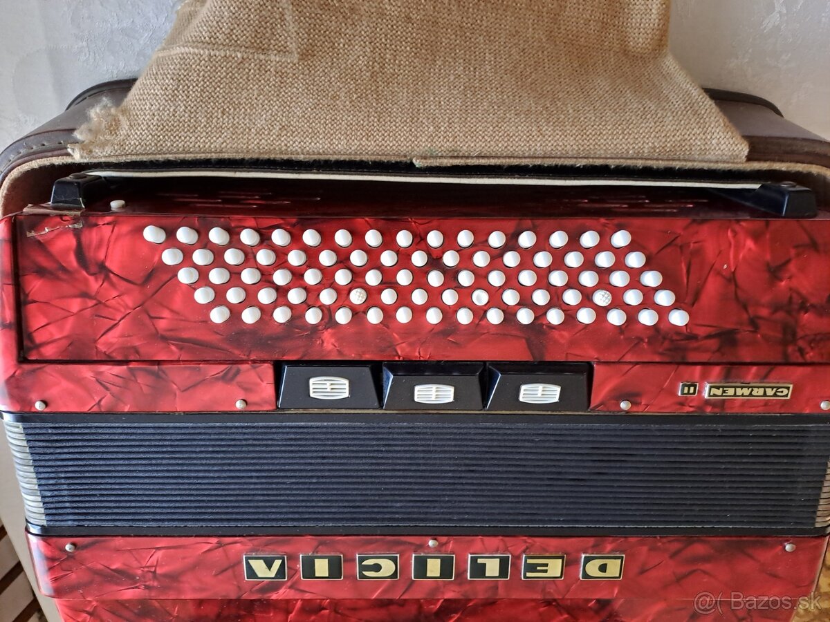 Akordeón Delicia Carmen 2 - 2