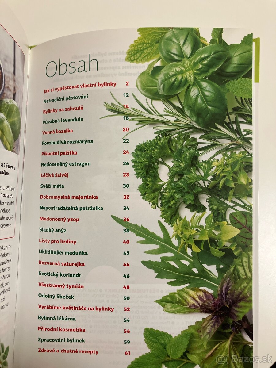 Kniha pestujeme bylinky - 2