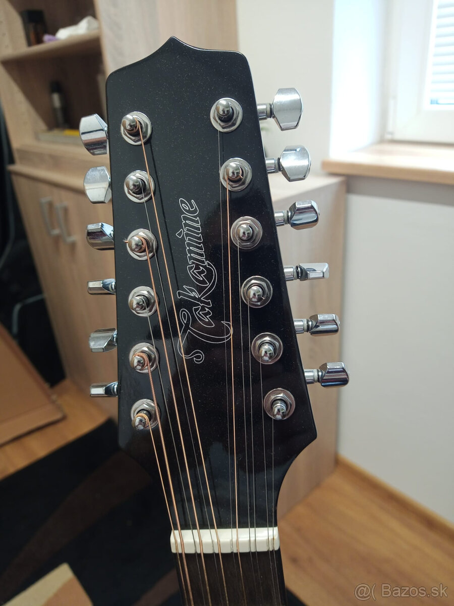 Takamine G-Series - 2