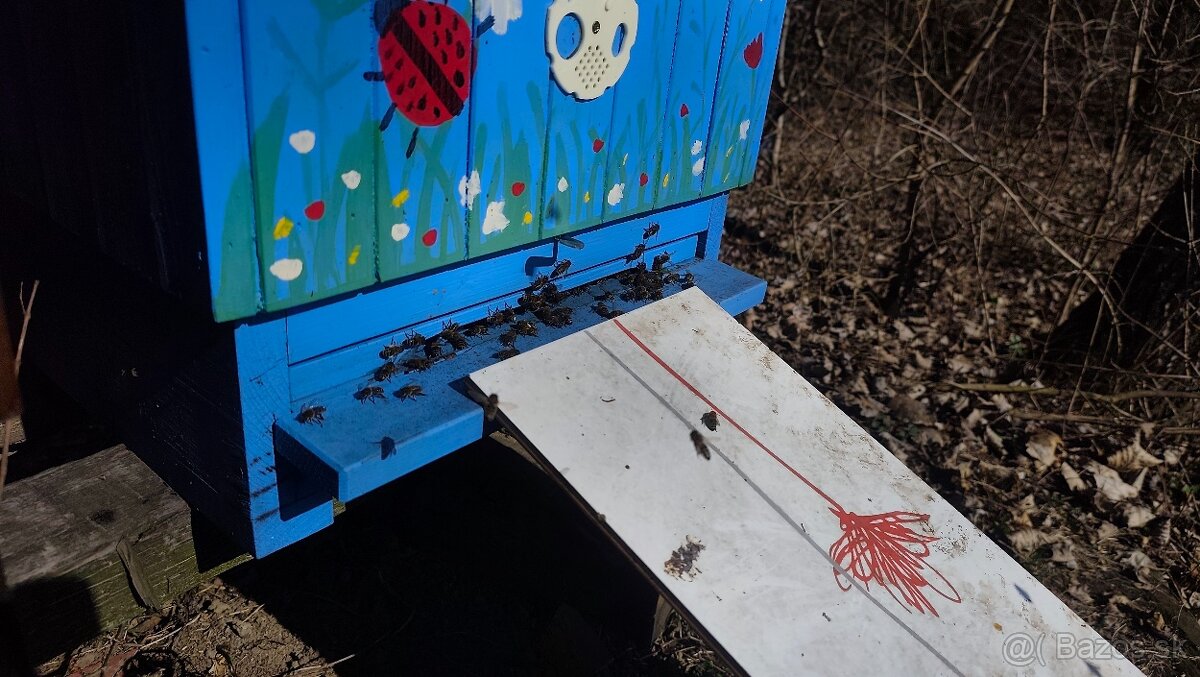 Predám včely rámikova miera B - 2