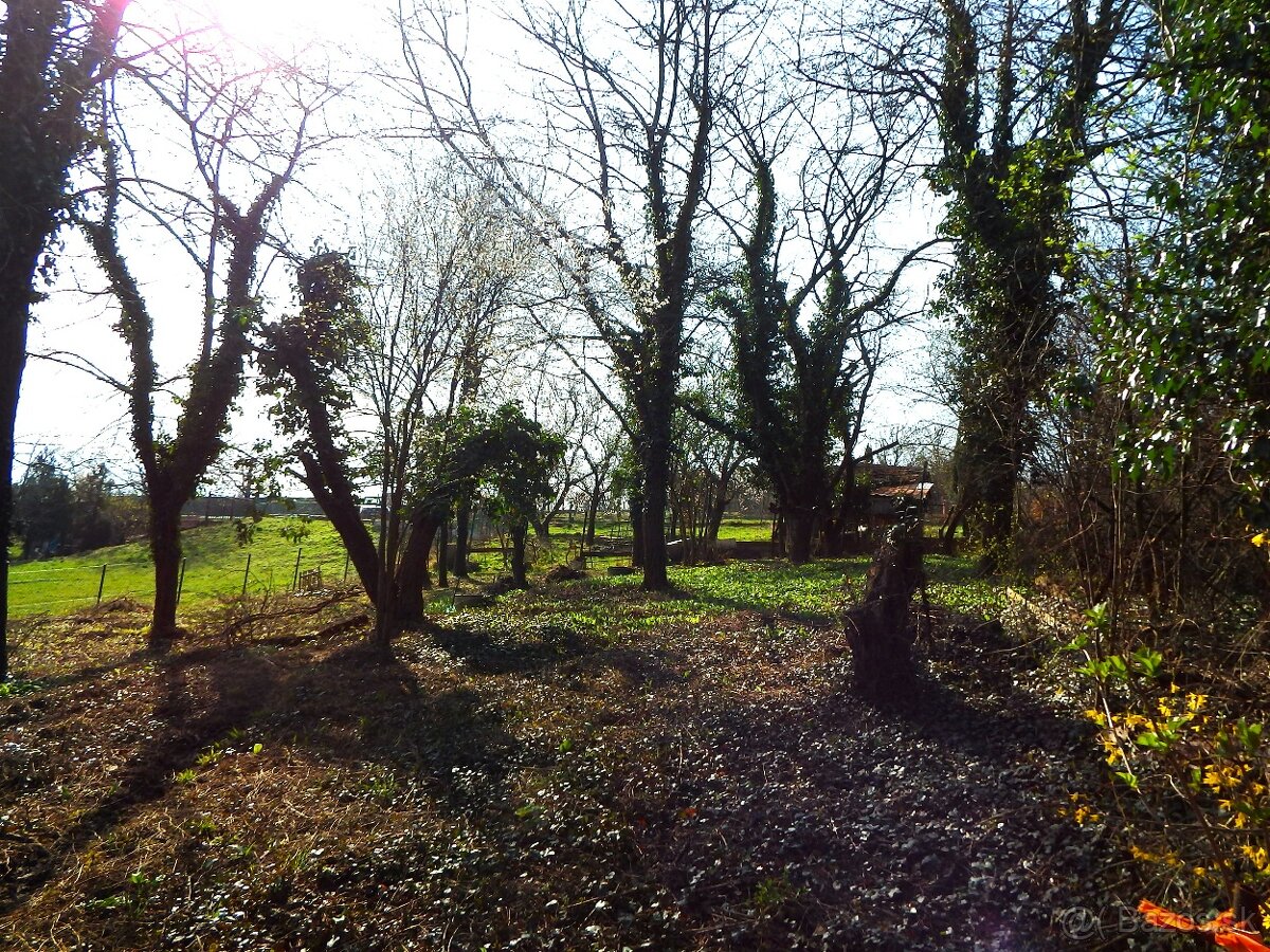 Záhrada najbližšie ku Karpatskej ulici PREDAJ/PRENÁJOM - 2